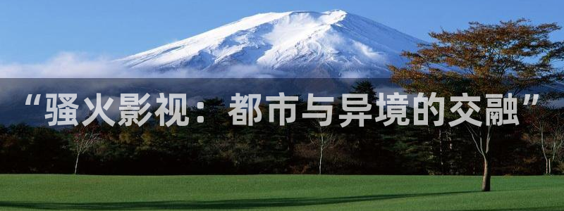 蓝莓影院免费播放电视剧大全最新更新时间