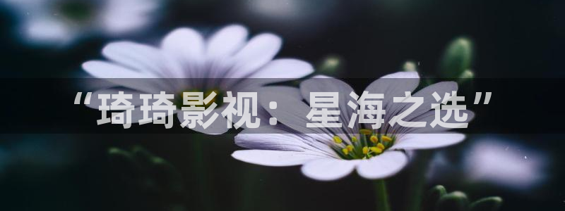 蓝莓在线观看免费播放电视剧